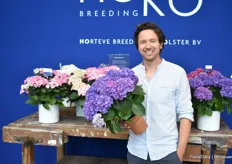 HOKO Breeding is a cooperation between Horteve Breeding and Kolster and is, evidently, specialized in the breeding of the hydrangea. Pictured is director of the company Matthieu Eveleens.